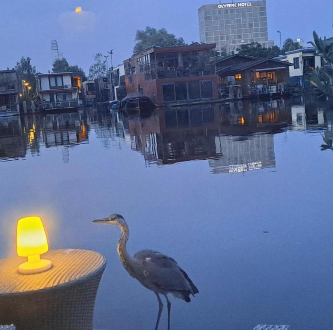 The New Lake Boathouse Amsterdam Luaran gambar